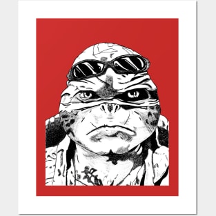 Raph Posters and Art